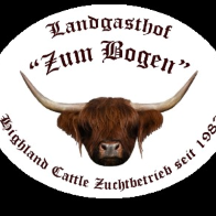 Landgasthof Zum Bogen, Hotel in Gründau