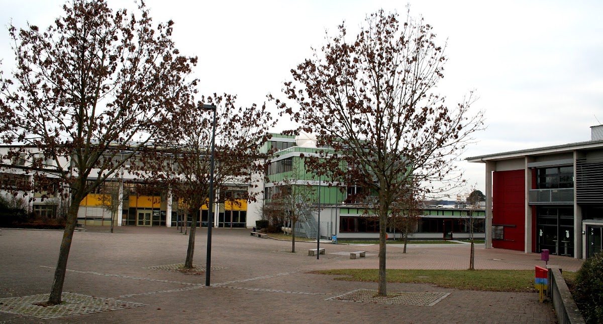 Lessing-Gymnasium, Schule in Lampertheim