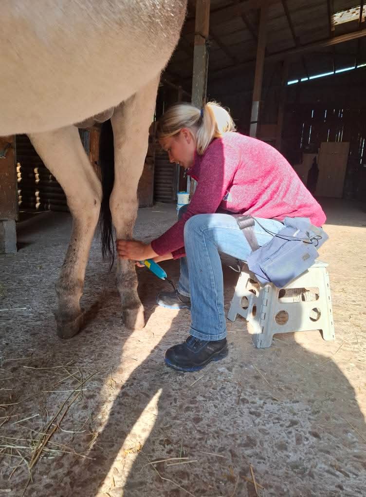 Maria Kiekopf - Tierphysiotherapie, Reit-& Beziehungscoaching, Tierkommunikation, Physiotherapie in Burghaun