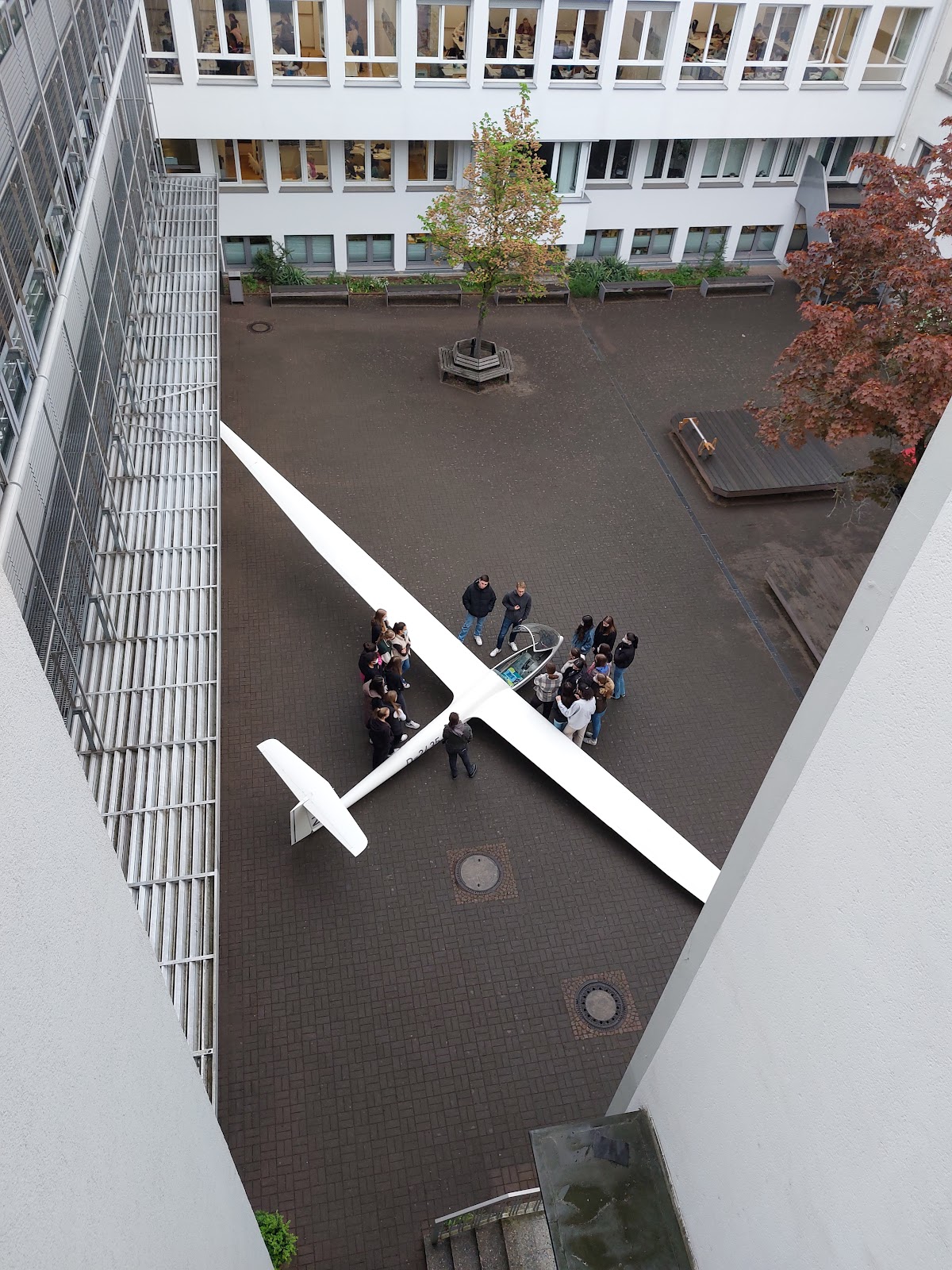 Marienschule Offenbach, Schule in Offenbach am Main