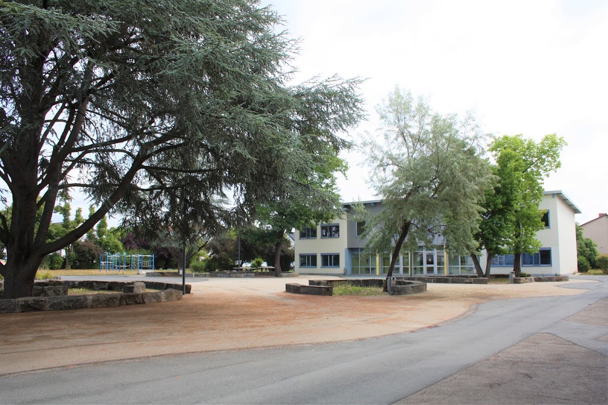 Martin-Niemöller-Schule, Schule in Riedstadt
