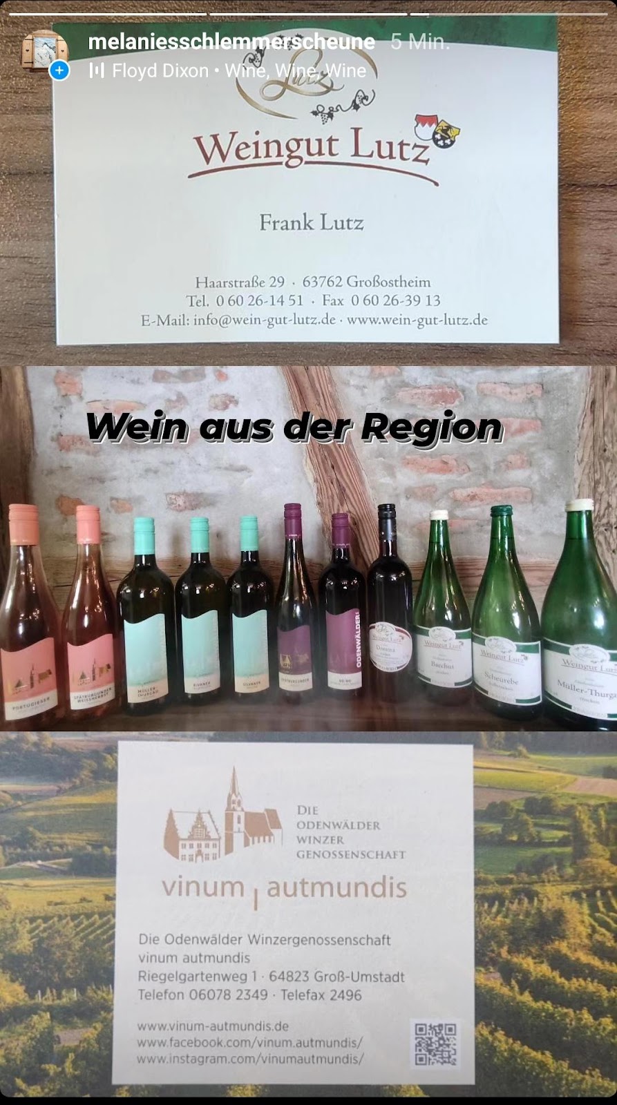 Melanie's Schlemmer-Scheune, Restaurant in Schaafheim
