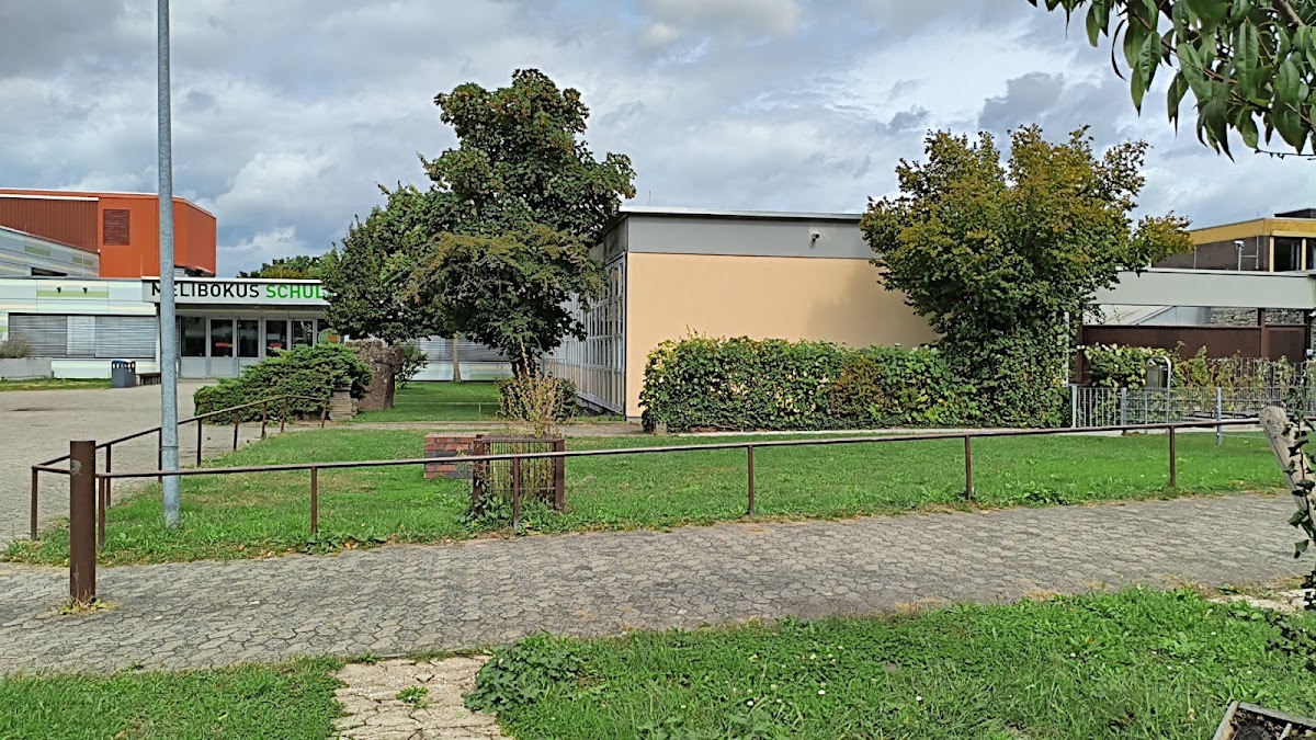 Melibokusschule, Schule in Alsbach-Hähnlein