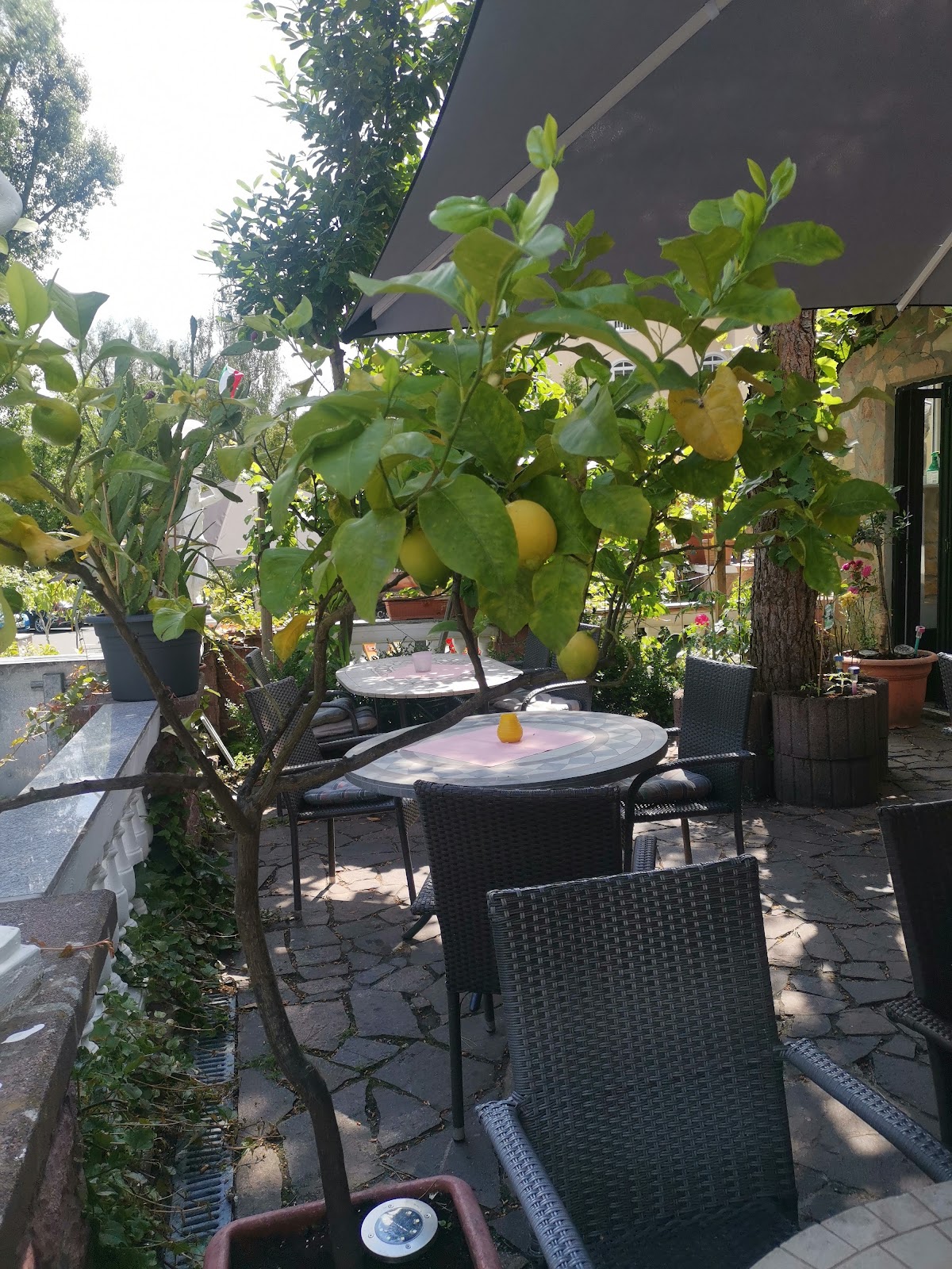 Michelangelo, Pizzeria in Weilburg