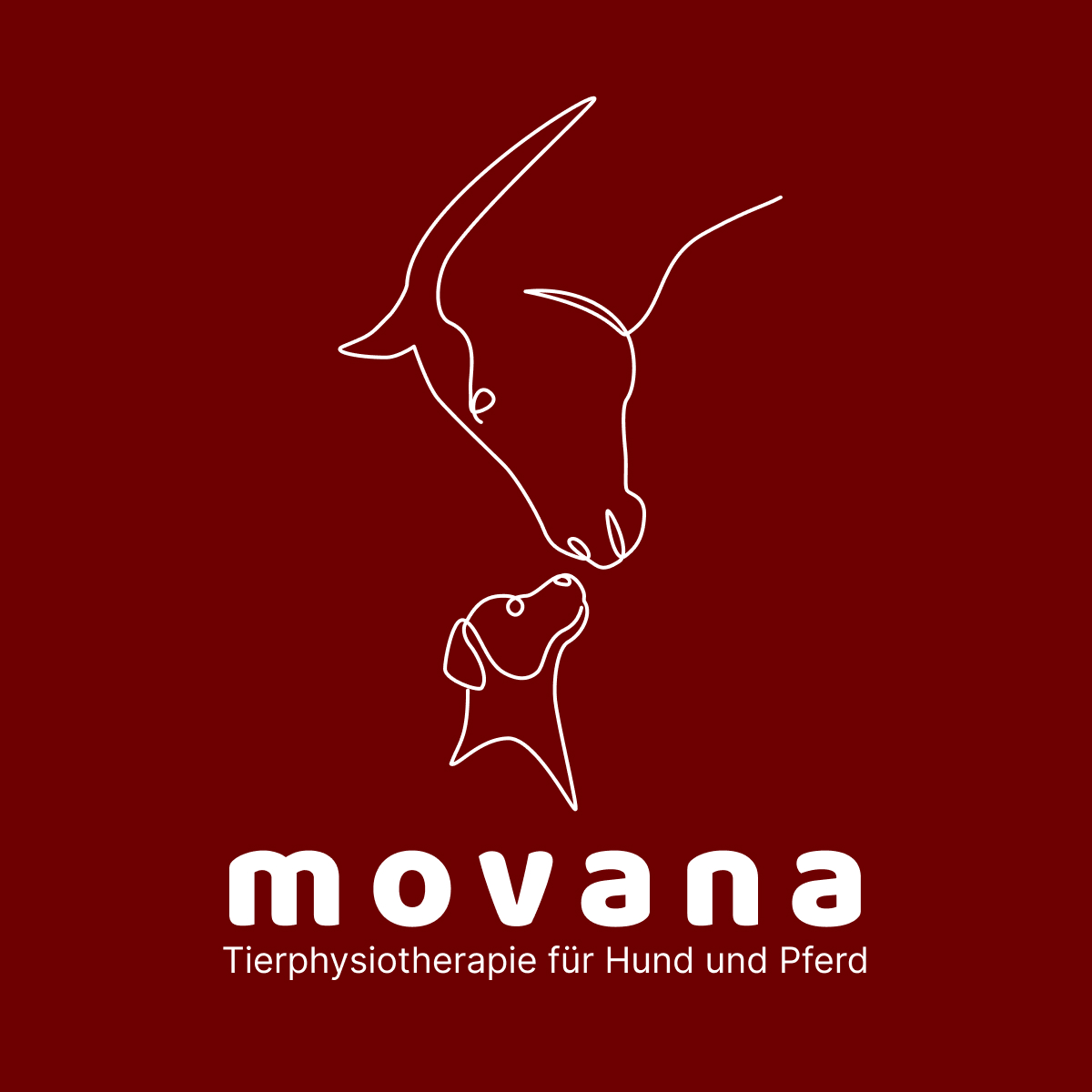 Movana Tierphysiotherapie, Physiotherapie in Mainhausen
