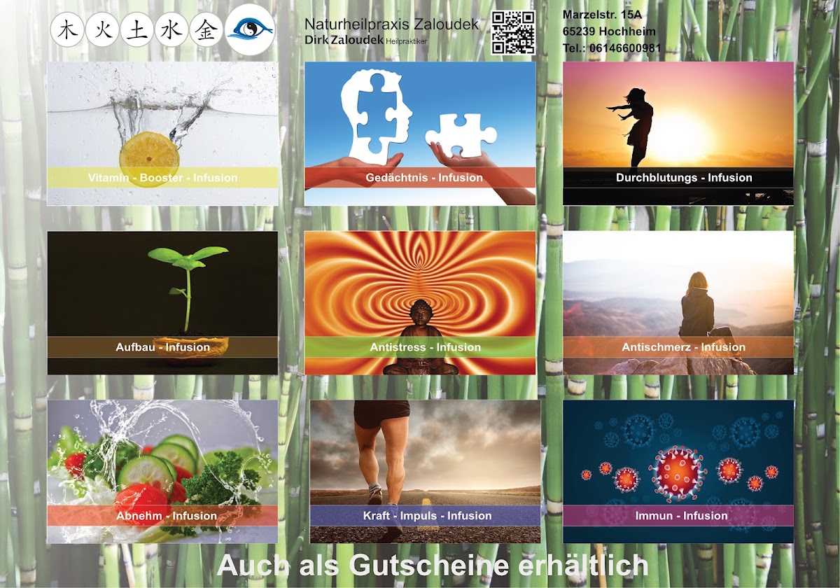 Naturheilpraxis Zaloudek, Arzt in Hochheim am Main