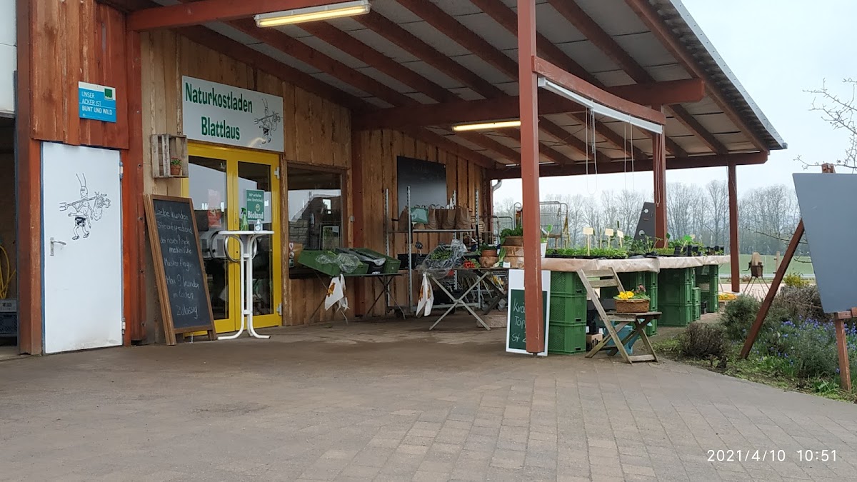 Naturkost Blattlaus, Café in Leun