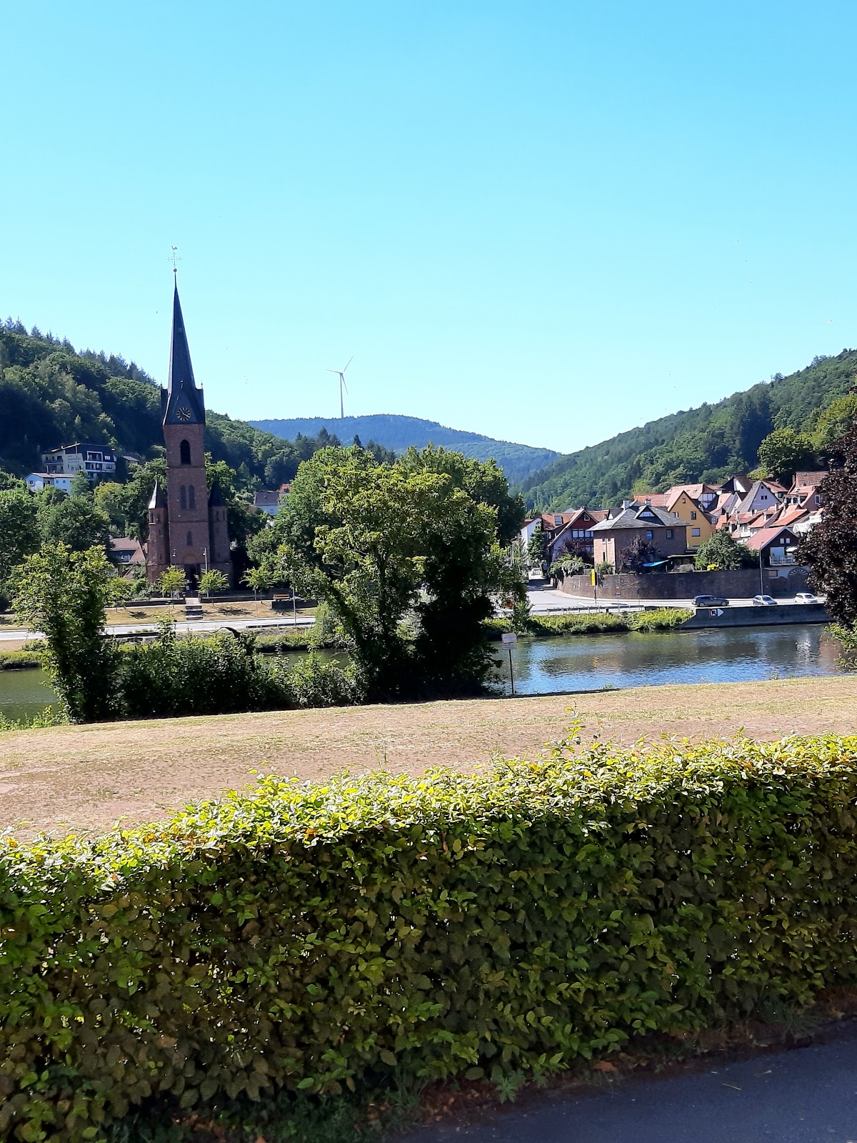 Neckartalschule Hirschhorn, Schule in Hirschhorn (Neckar)