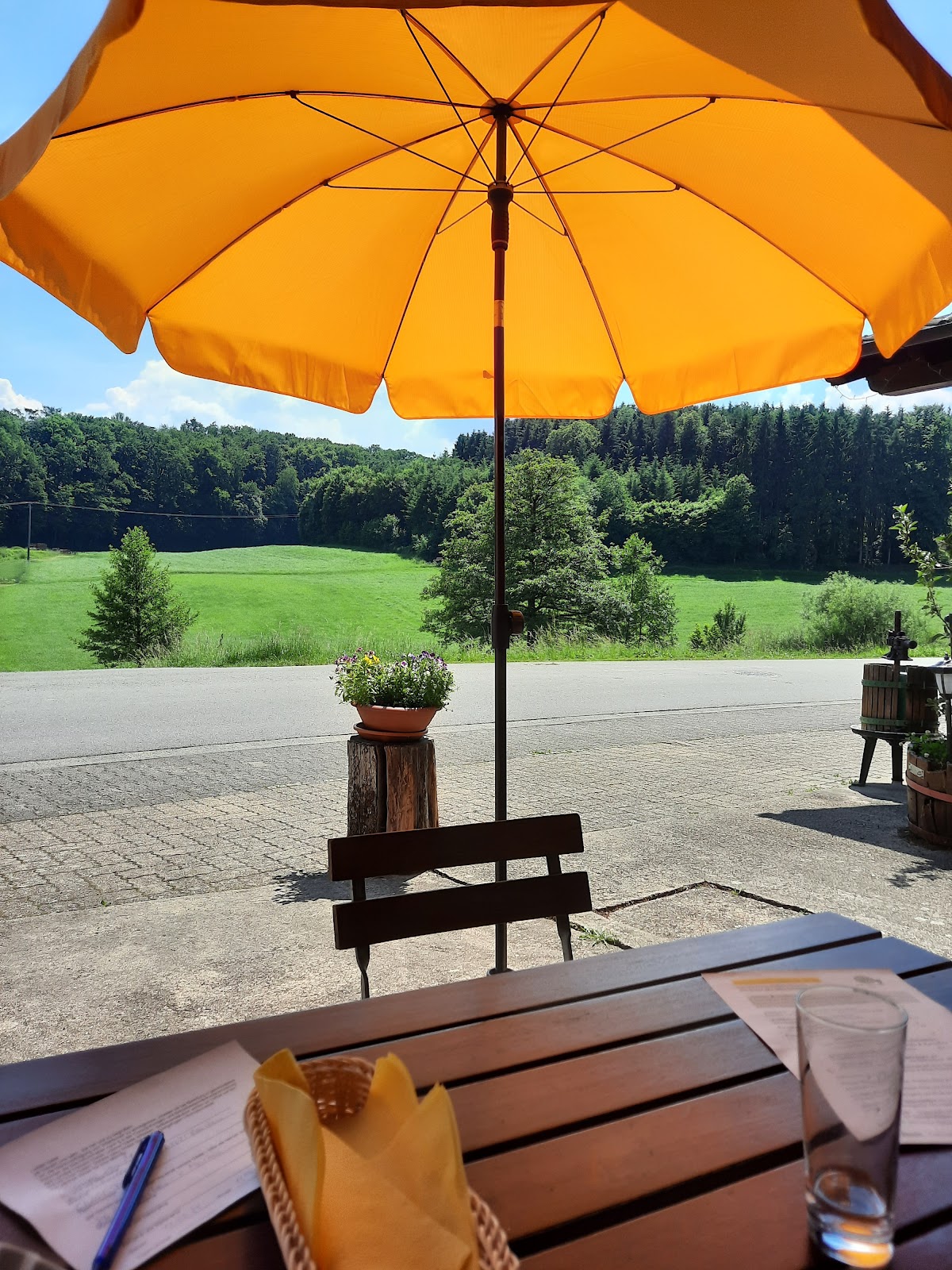 Odenwald-Gasthaus Dornröschen, Restaurant in Höchst im Odenwald – Foto 1 von 1
