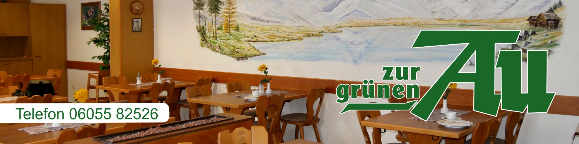 Pension Grüne Au, Hotel in Hasselroth