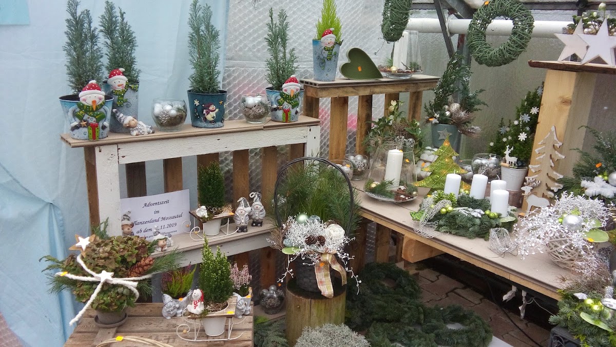 Pflanzenland Mossautal Gärtnerei, Zahnarzt in Mossautal