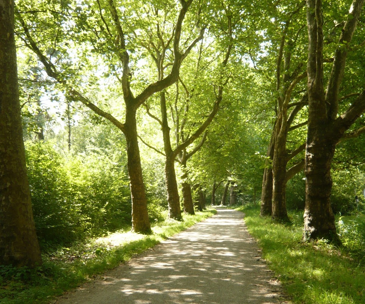 Physio-Doc, Physiotherapie in Söhrewald