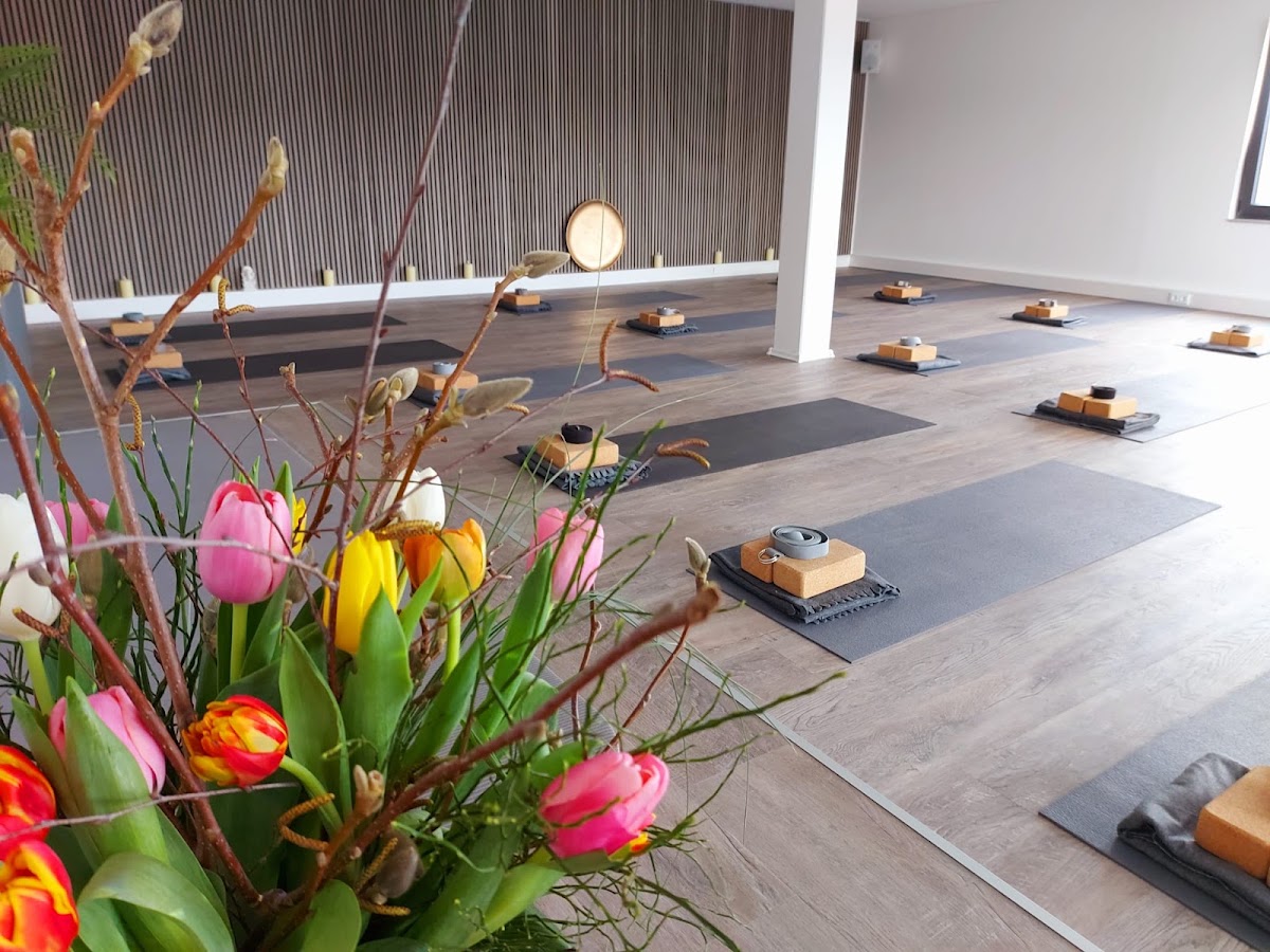 Physio Yoga Loft by Melanie Schard - Zentrum für Yoga und Gesundheit, Physiotherapie in Ahnatal