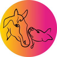 Physio4four - Mobile Physiotherapie und Osteopathie für Tiere, Physiotherapie in Karben