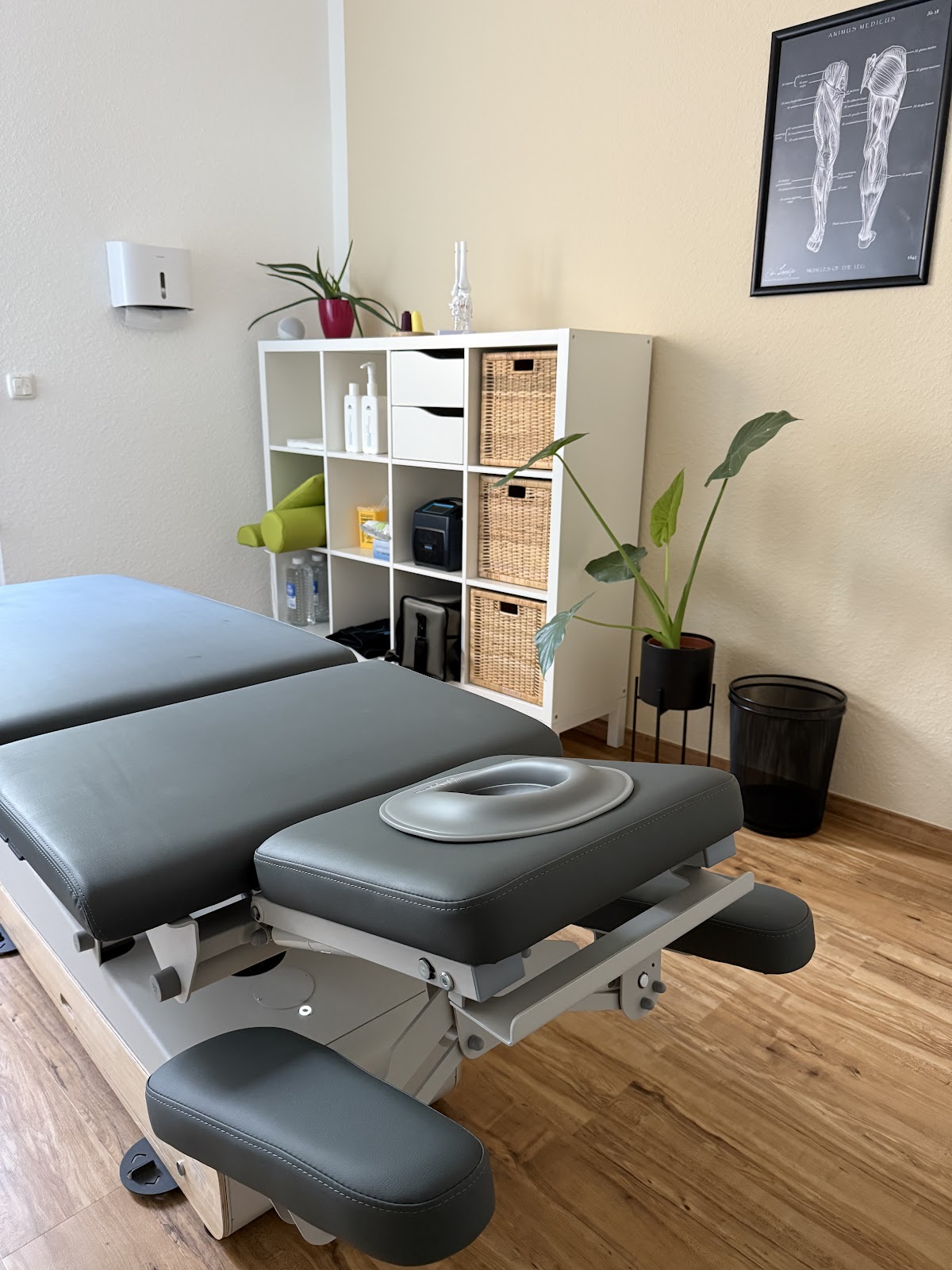 PhysioBase x AthletiQ, Physiotherapie in Schöneck