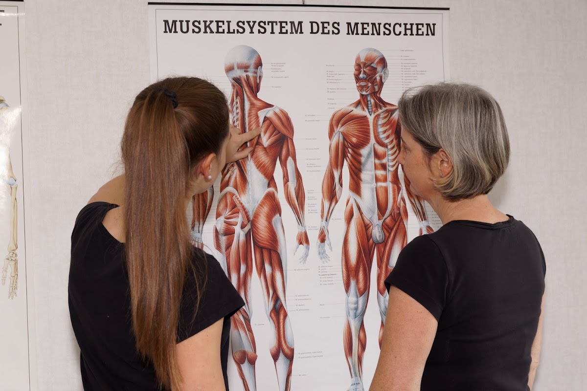 PhysioSandner, Physiotherapie in Biebesheim am Rhein