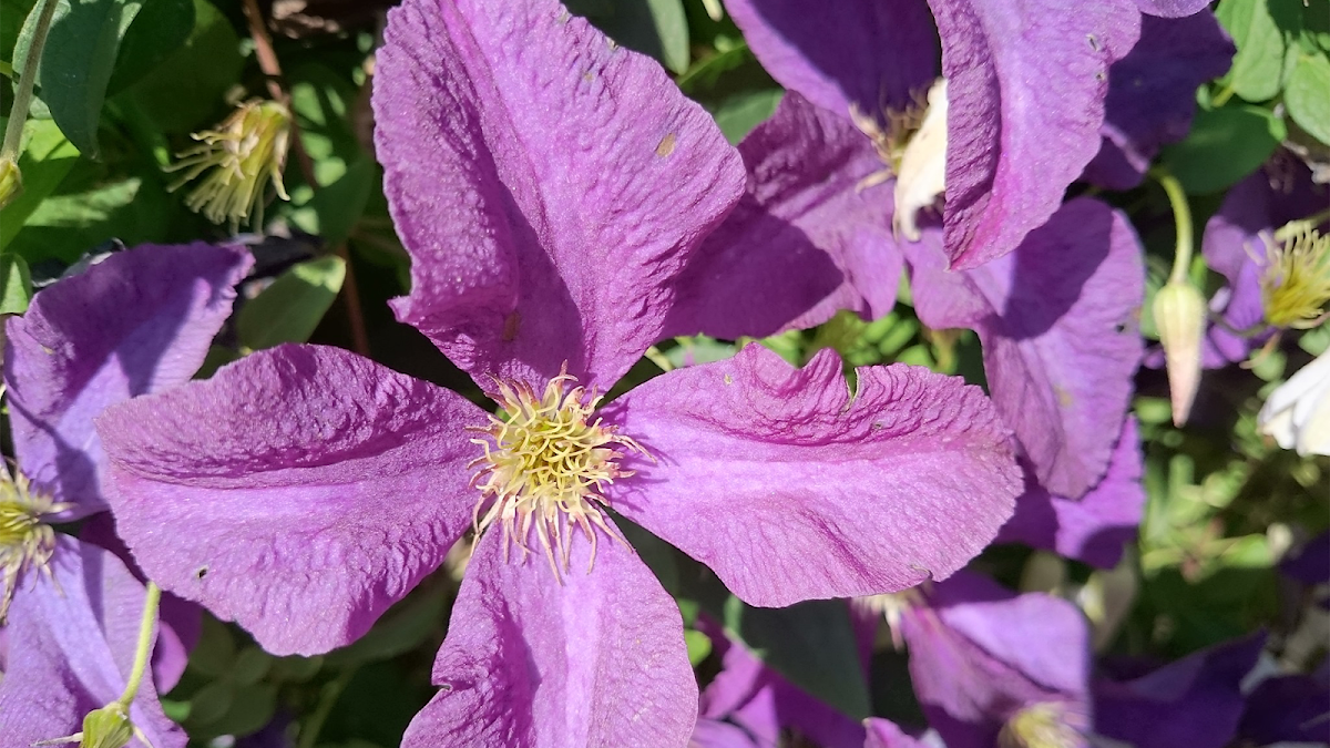 Praxis für Physiotherapie | Inh. Werner Kostikov, Physiotherapie in Stockstadt am Rhein – Foto 1 von 1