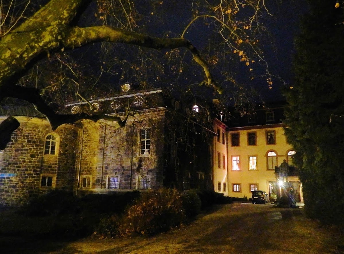 Privilegierte Hof Apotheke, Apotheke in Lich