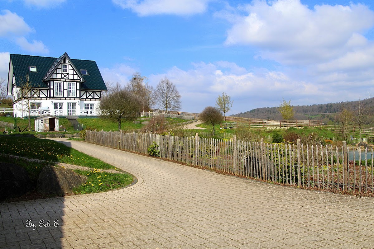 Reiterhof und Pension Eichenhof, Hotel in Haiger