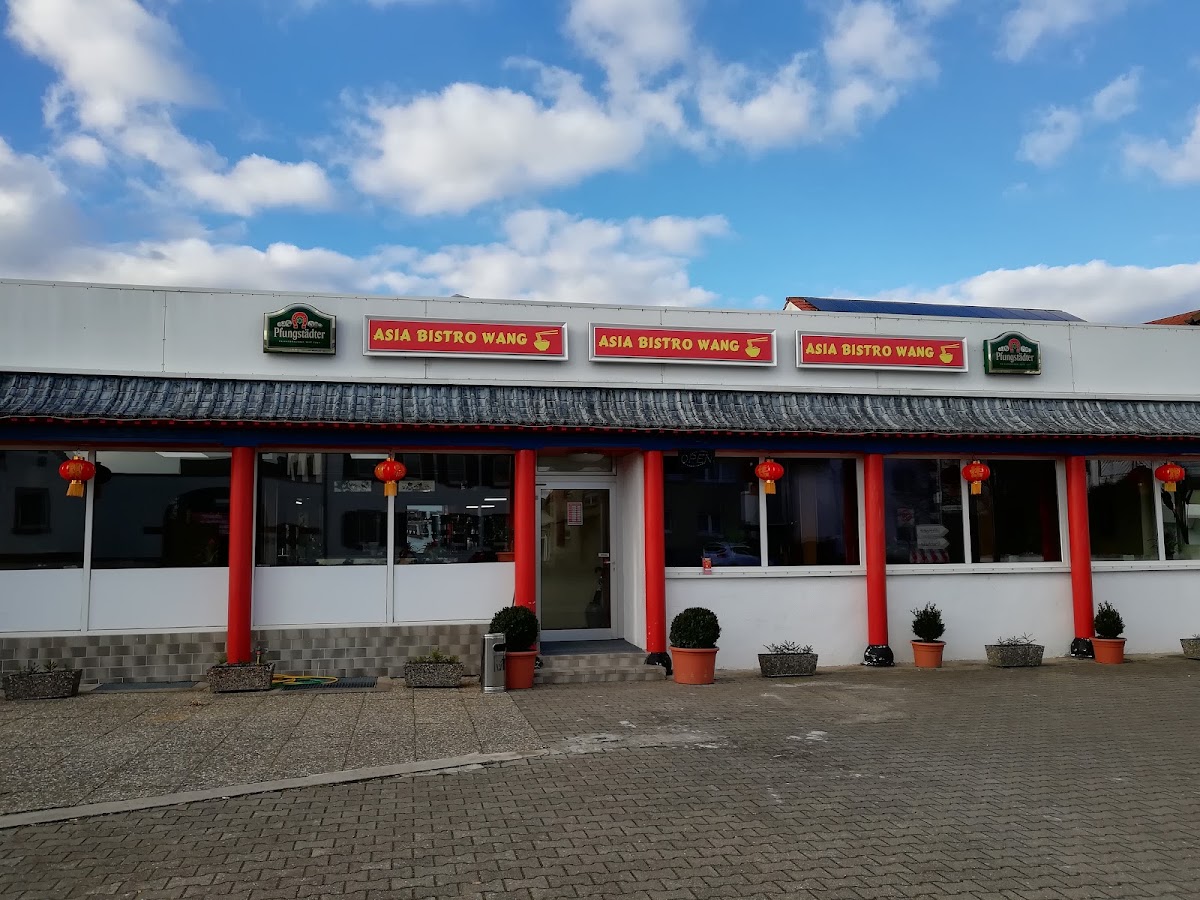 Restaurant Asia Bistro Wang, Restaurant in Biebesheim am Rhein