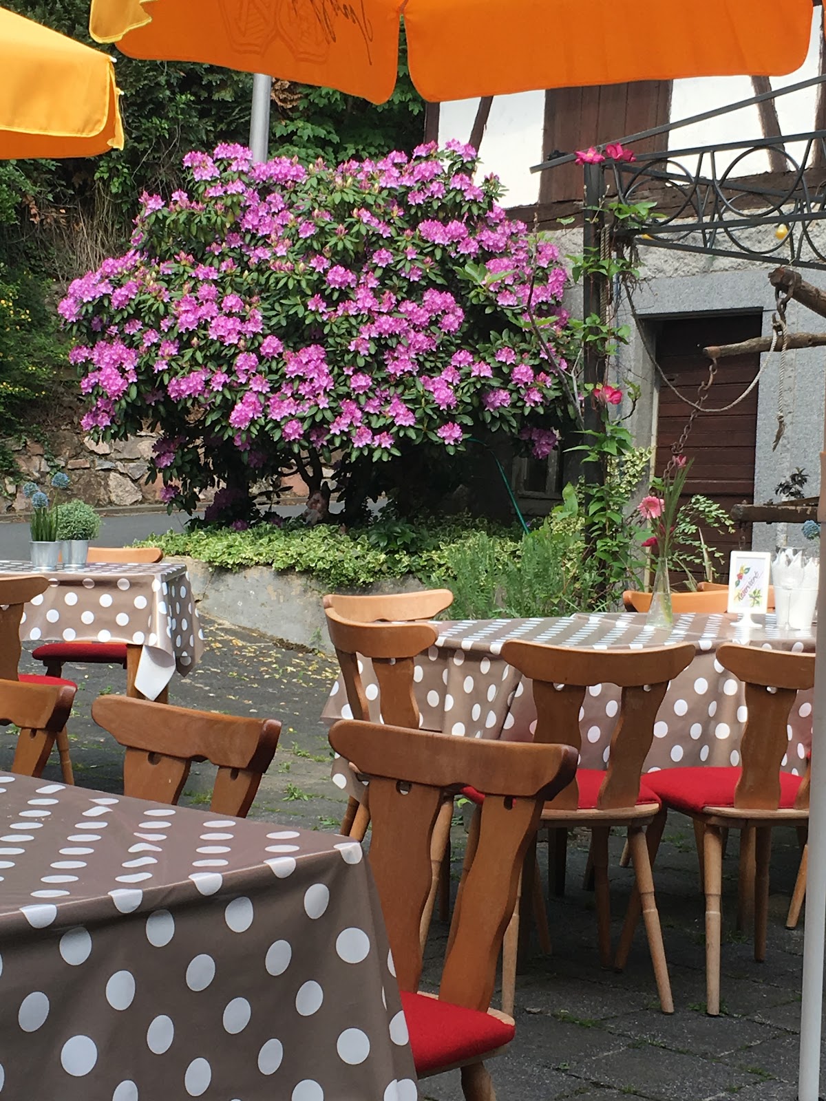 Restaurant La Finca, Restaurant in Brensbach