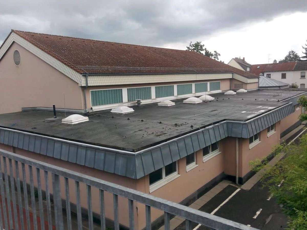 Riedschule, Schule in Flörsheim am Main