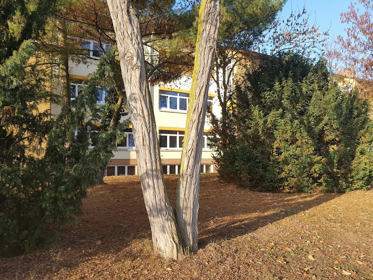 Schillerschule, Schule in Bürstadt