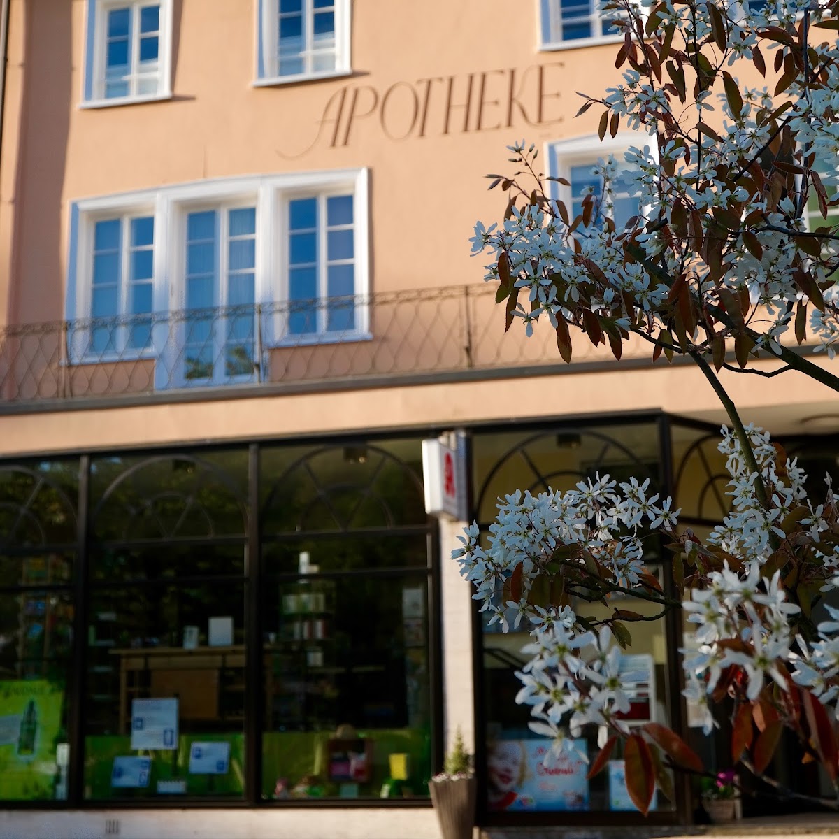 Schlangen-Apotheke, Apotheke in Schlangenbad