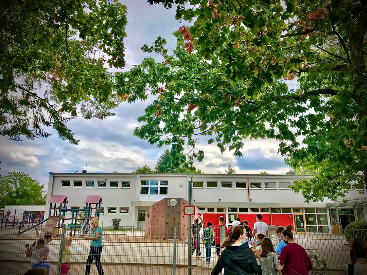Schule am Bürgerhaus, Schule in Rodgau
