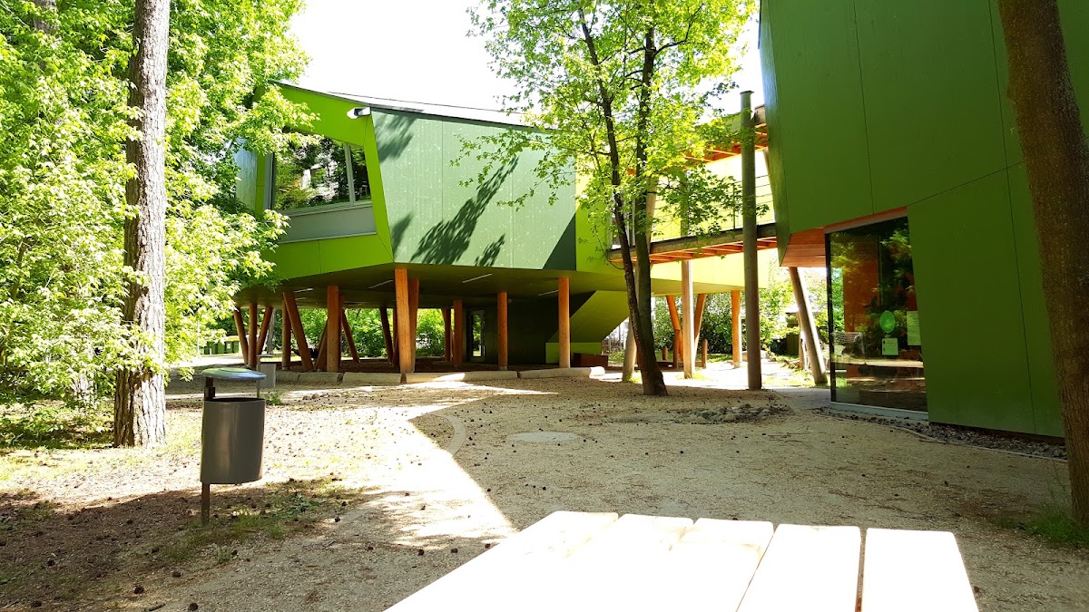 Schule am Kiefernwäldchen, Schule in Griesheim