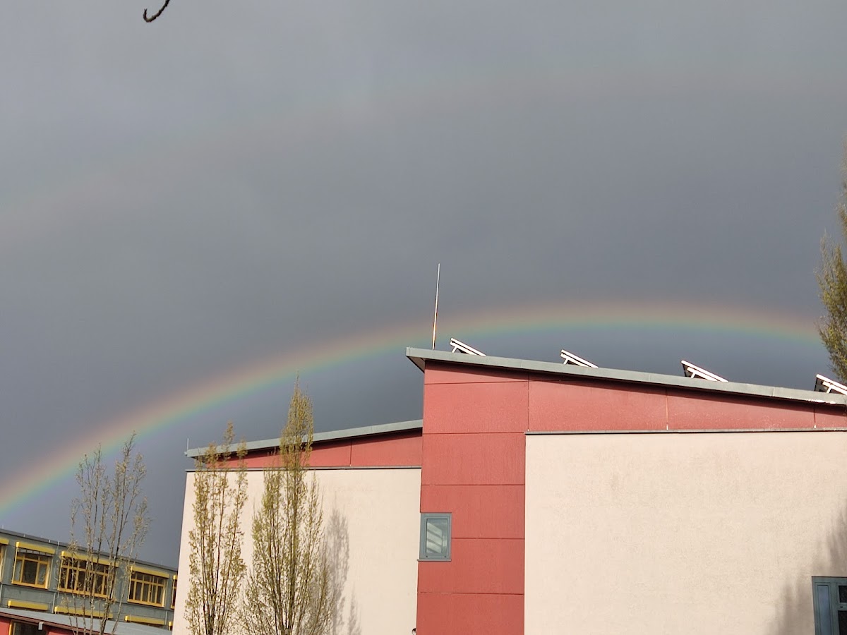 Schule am Sportpark, Schule in Erbach