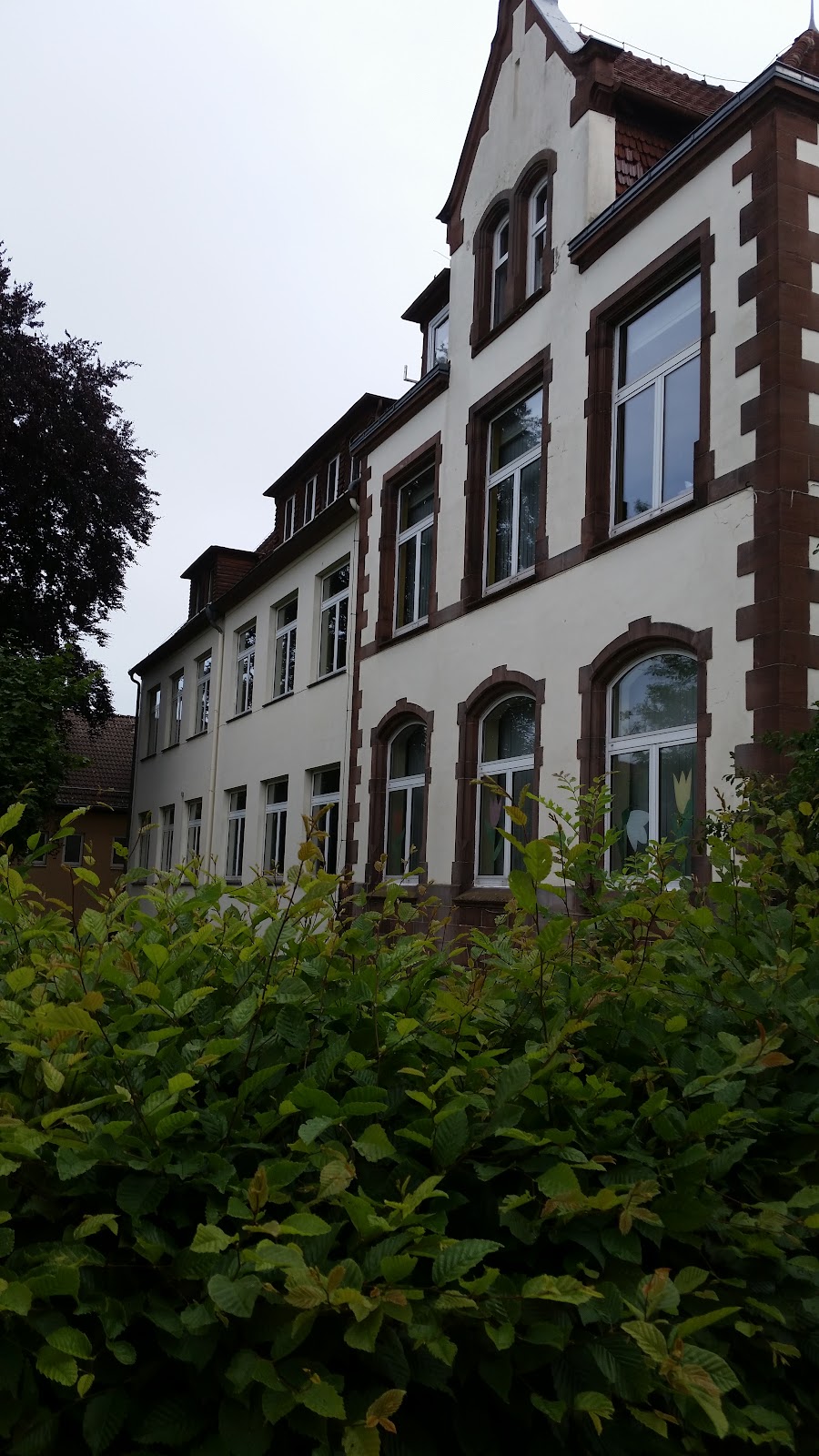 Schule Am Tor, Schule in Borken (Hessen)