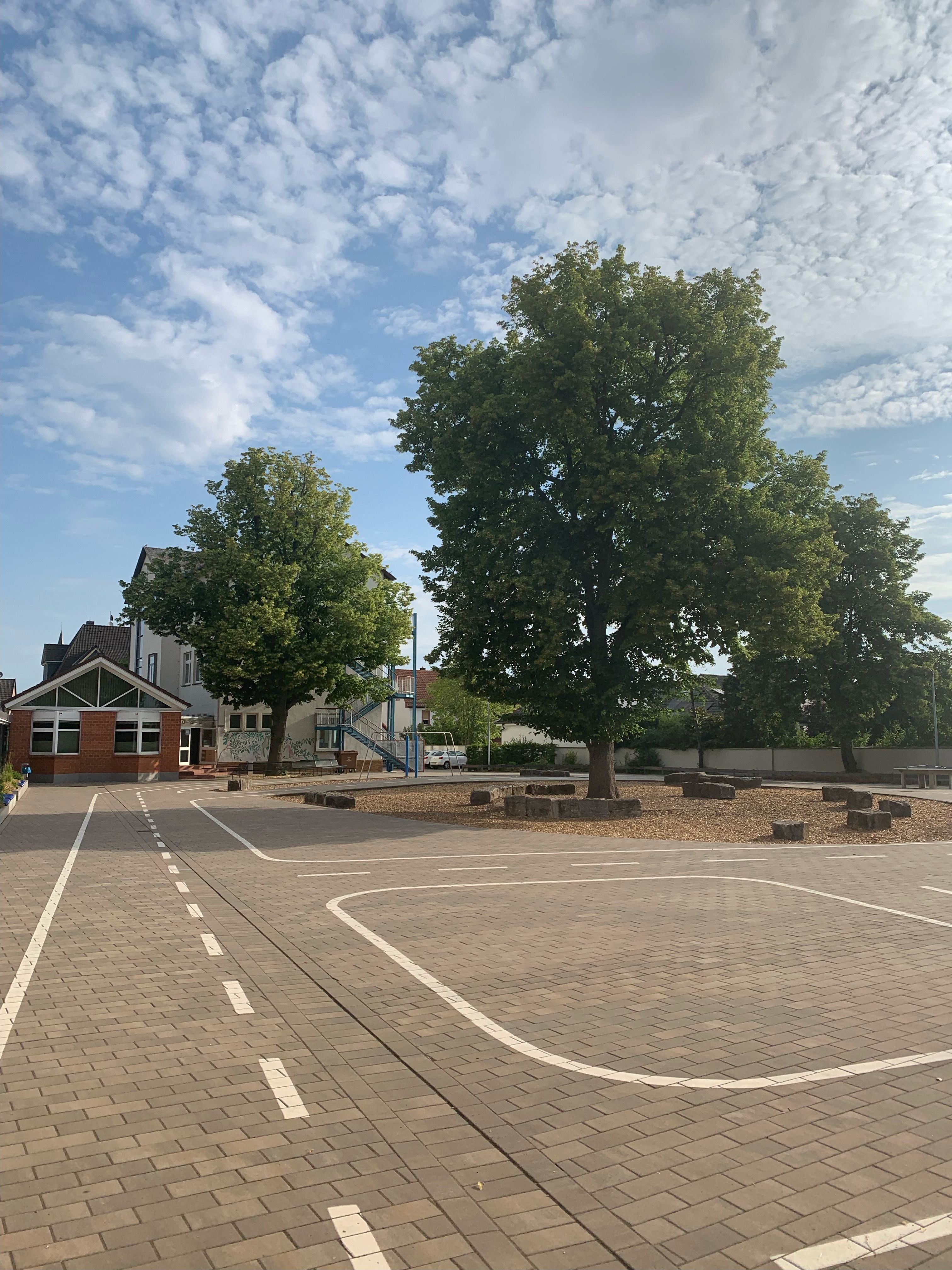 Schule an den Linden, Schule in Rödermark