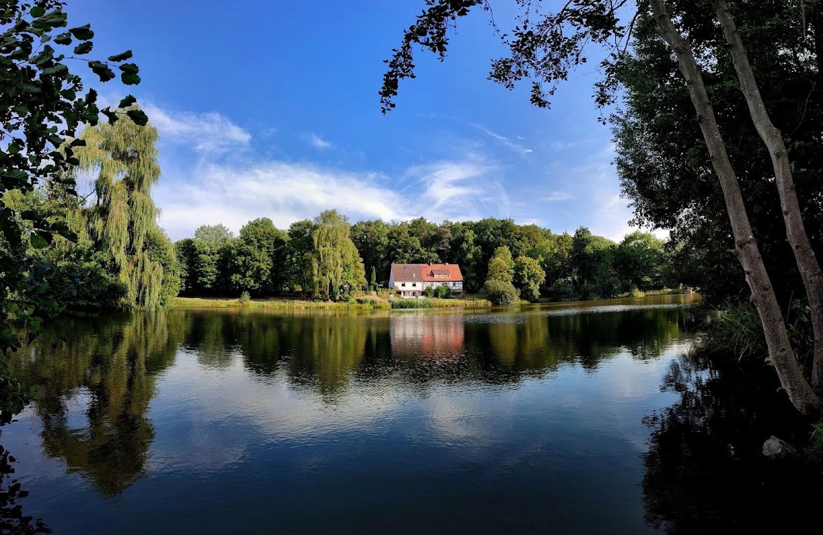 SeeDiehle - Eventlocation am See, Restaurant in Oberaula – Foto 1 von 1