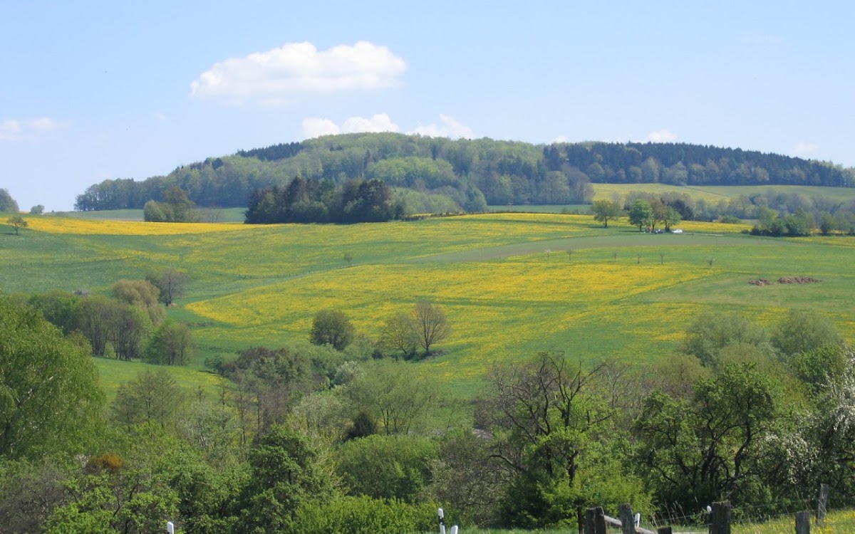 Sven Torsten Schäfer, Arzt in Lautertal (Odenwald)