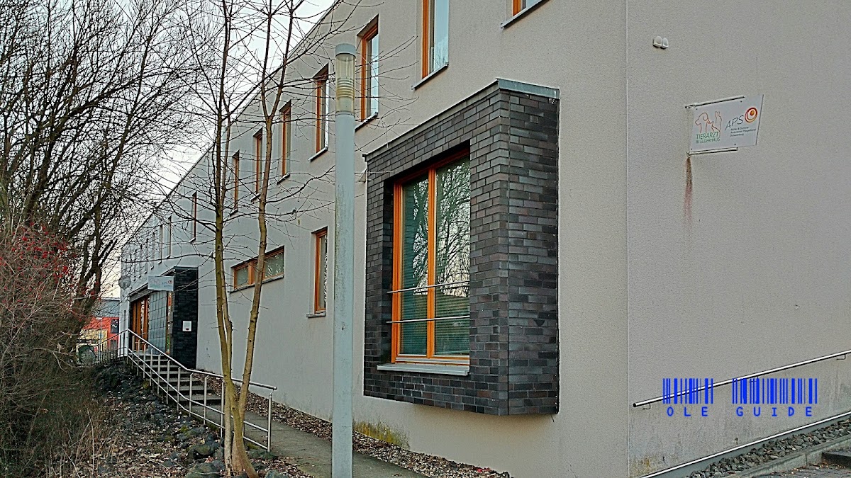 Tierarzt im Elgerhaus, Tierarzt in Schauenburg