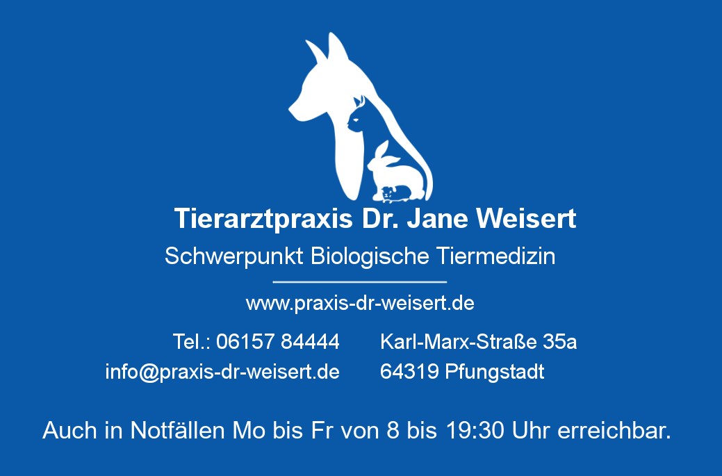 Tierarztpraxis Dr. Jane Weisert, Tierarzt in Pfungstadt