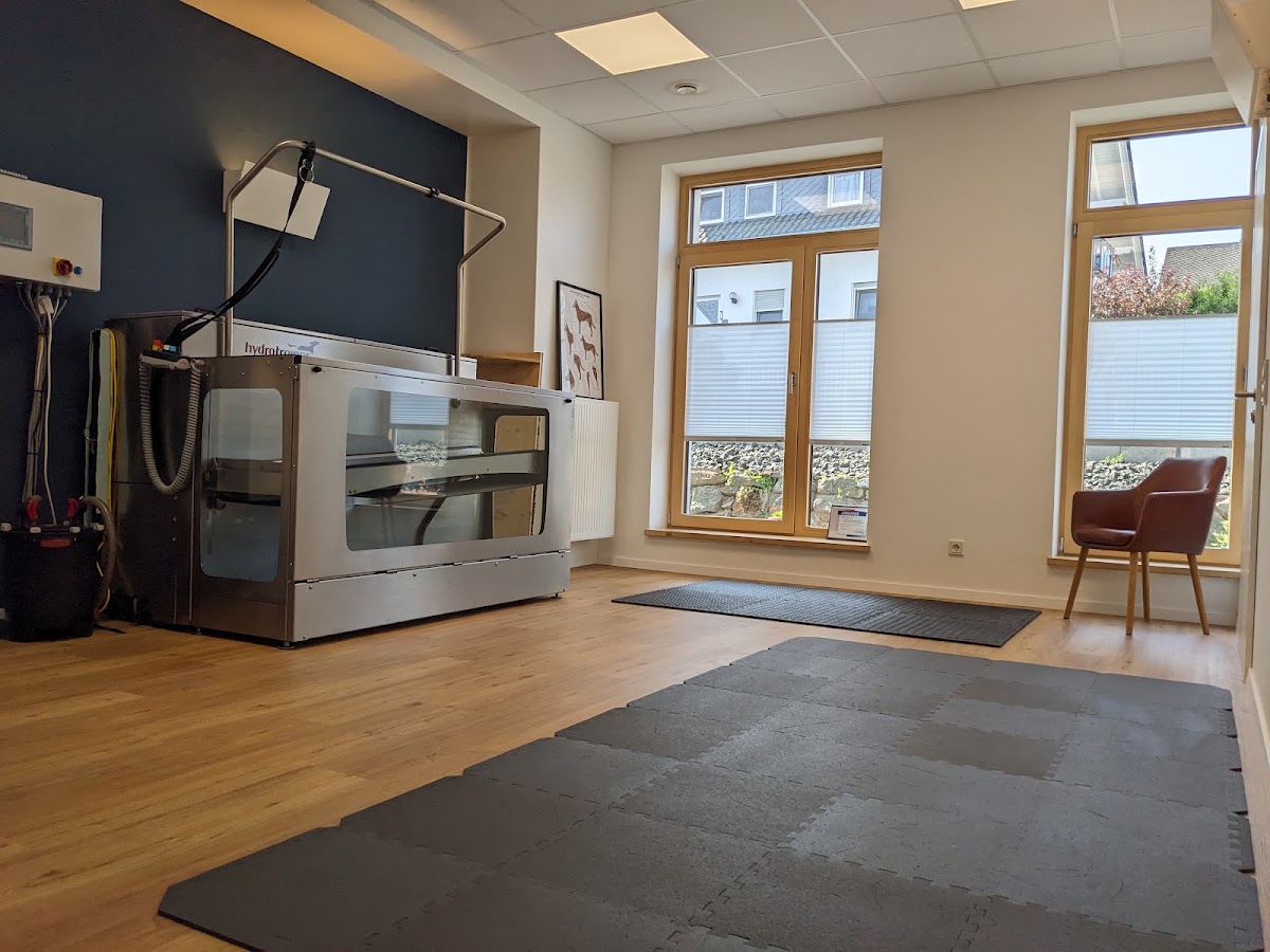 Tierphysiotherapie in der Kleintierpraxis Schaede, Physiotherapie in Hohenahr