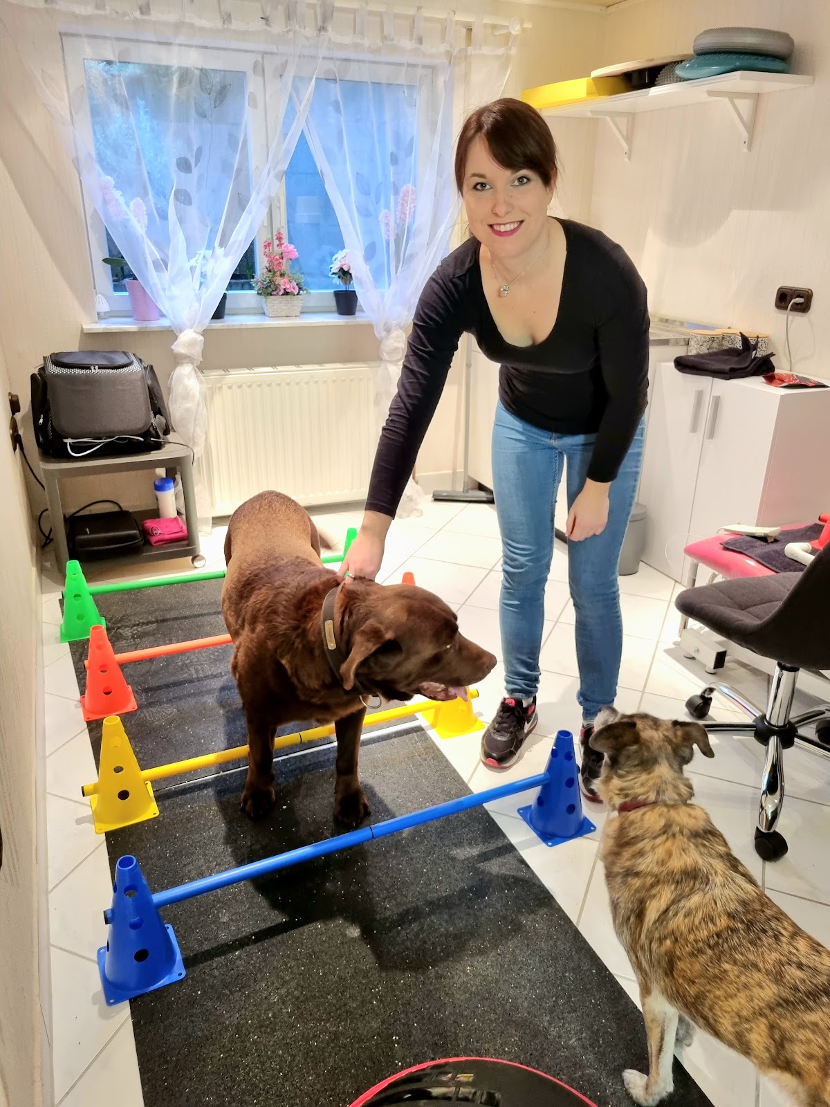 Tierphysiotherapie und Tierosteopathie Jennifer Moser, Physiotherapie in Rödermark