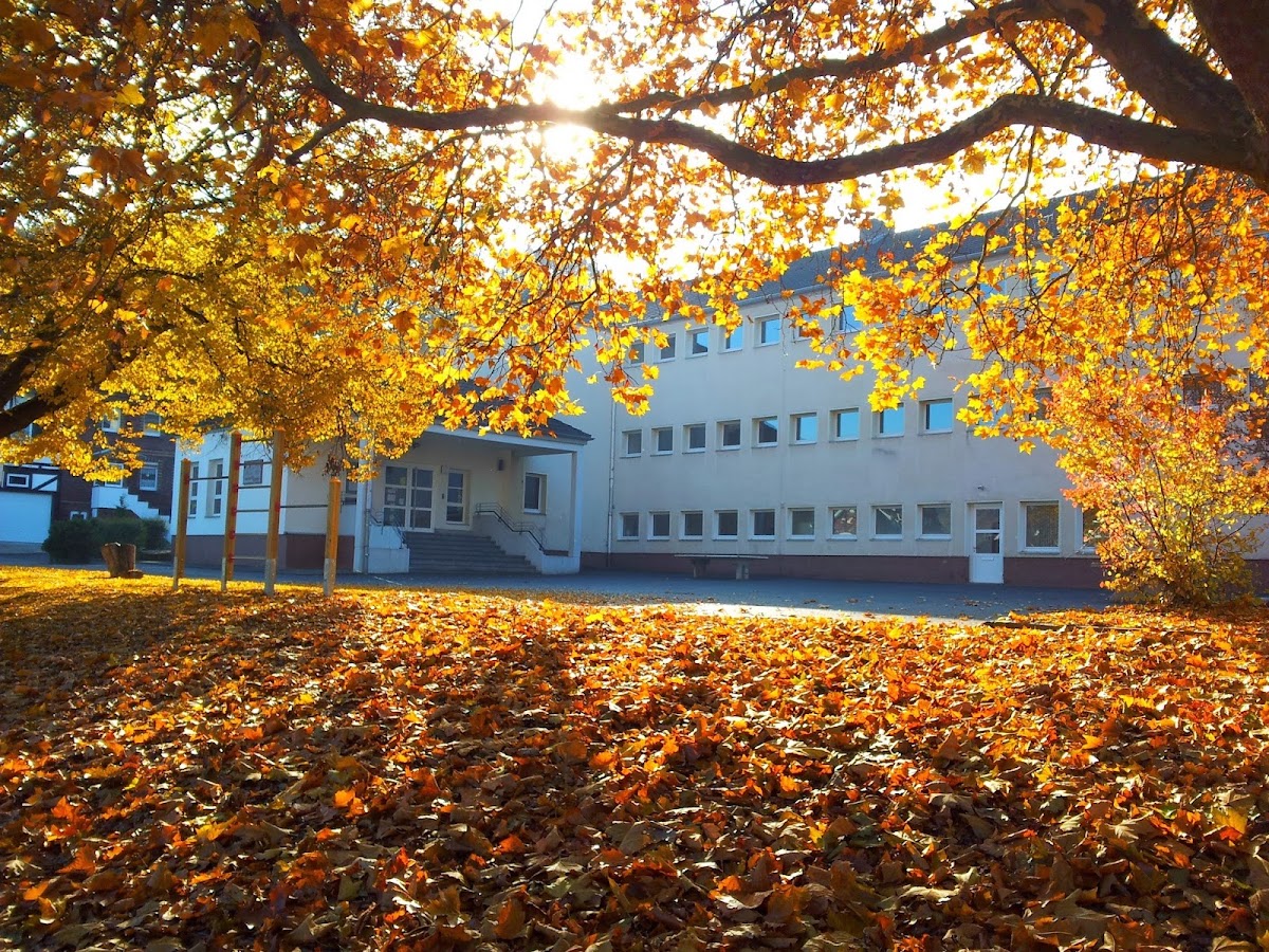 Ulfetal-Schule Weiterode, Schule in Bebra