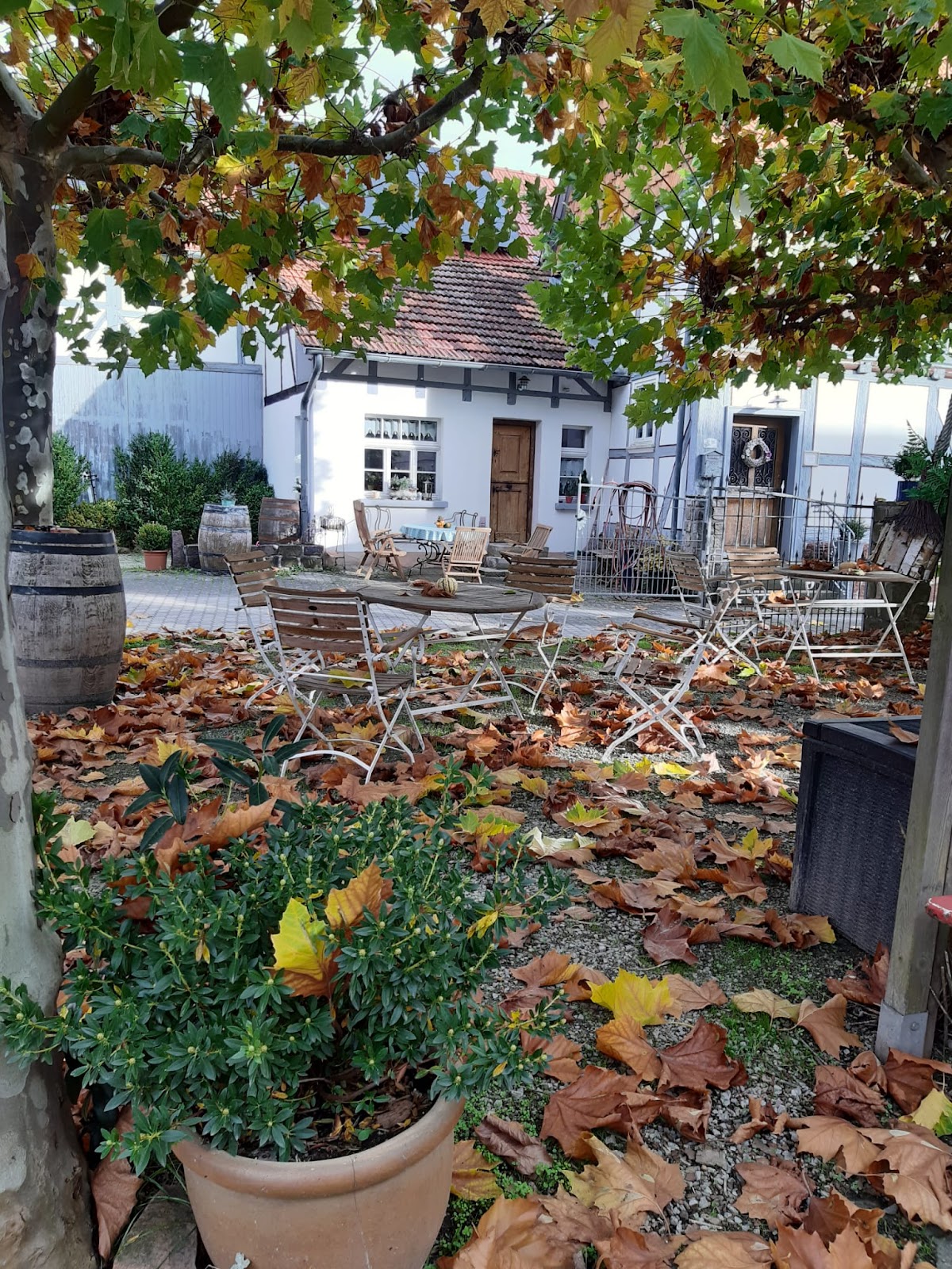Villa Velo, Hotel in Meinhard