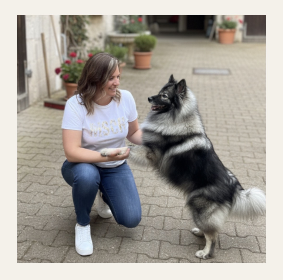 Vitale Vierbeiner - Tierphysiotherapie Kathrin Stroh, Physiotherapie in Waldbrunn (Westerwald)