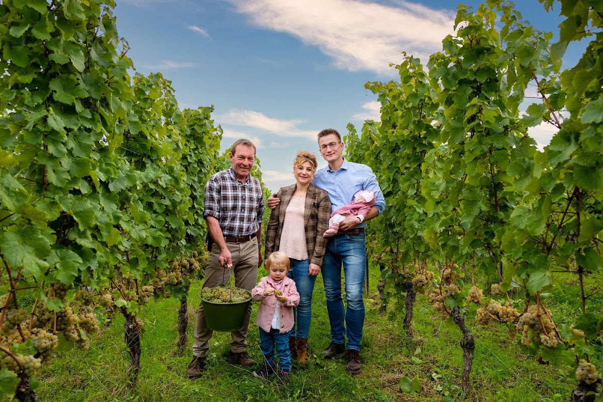 Weingut | Weinhotel OFFENSTEIN ERBEN, Hotel in Eltville am Rhein