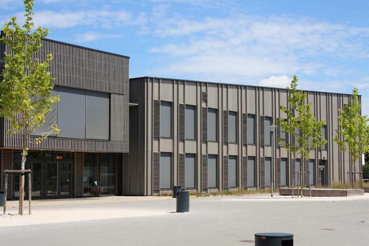 Wilhelm-Arnoul-Schule, Schule in Mörfelden-Walldorf