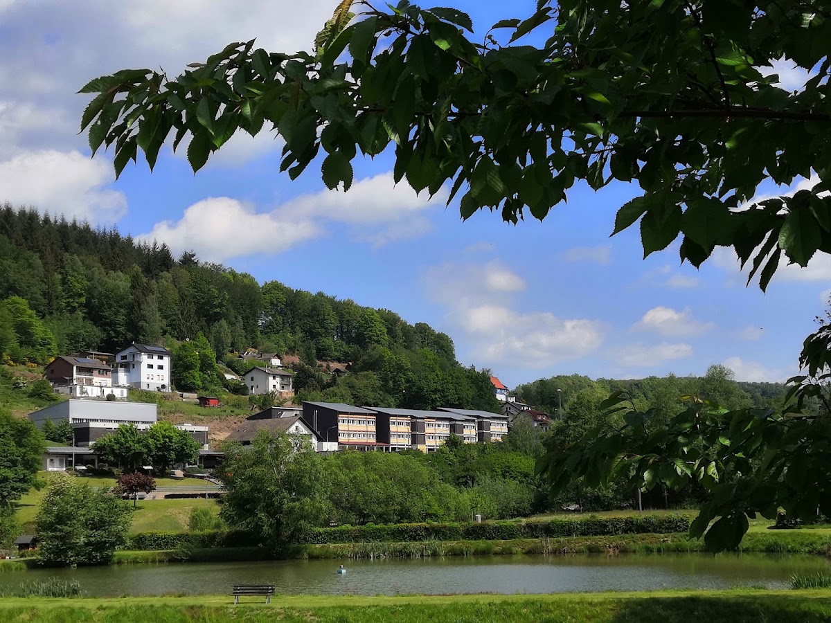 Wilhelm-Hauff Schule, Schule in Flörsbachtal