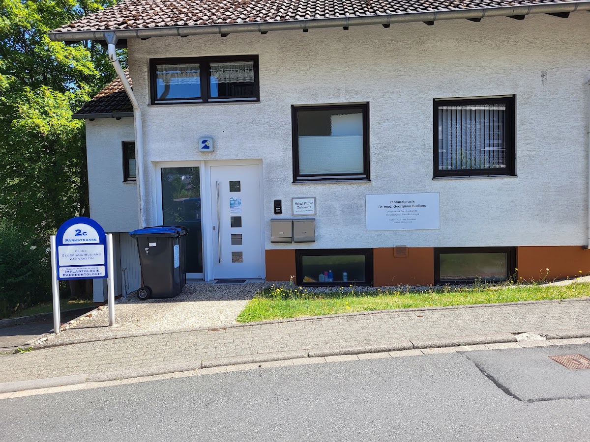 Zahnarztpraxis Dr. Budianu, Zahnarzt in Schmitten im Taunus