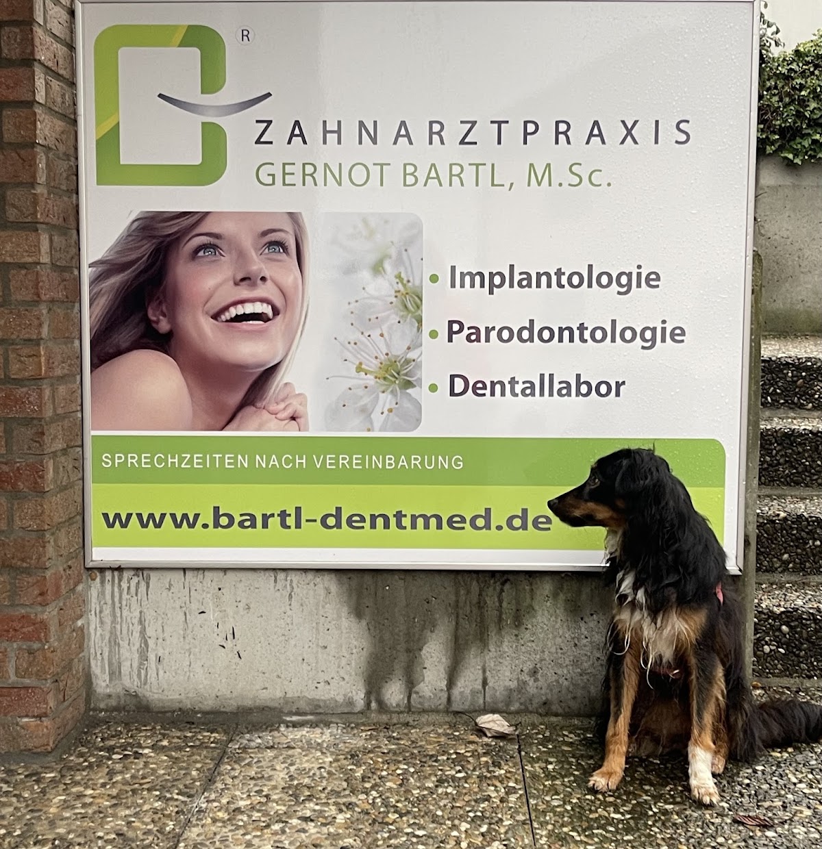 Zahnarztpraxis Gernot Bartl, M.Sc., M.Sc., Zahnarzt in Wiesbaden – Foto 1 von 1