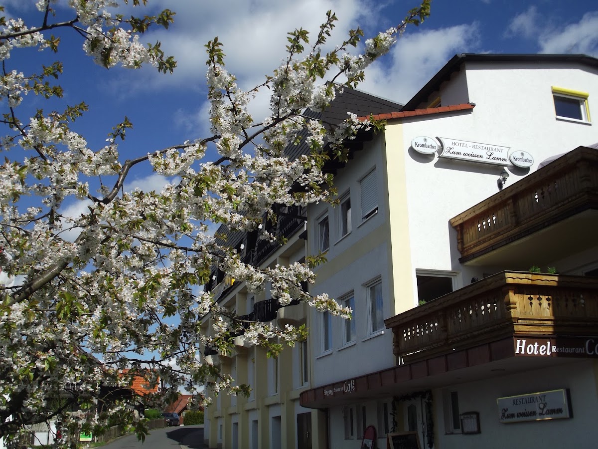 Zum Weißen Lamm, Restaurant in Oberzent