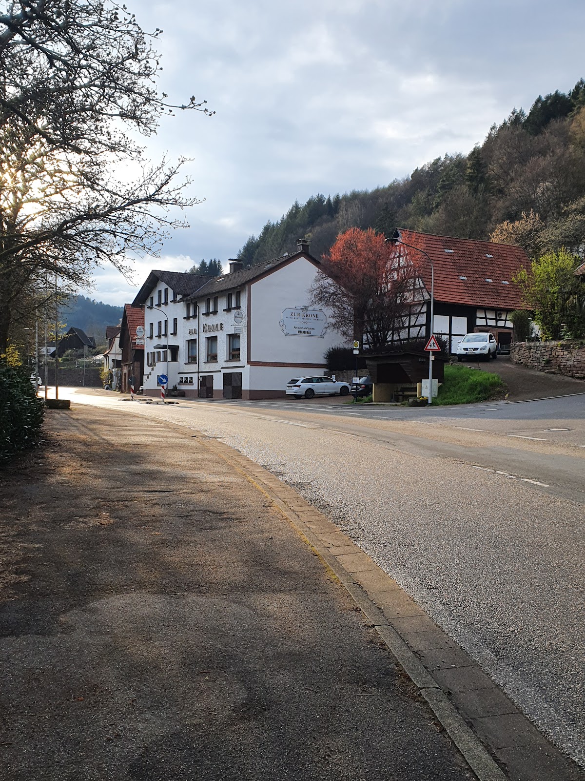Zur Krone Pension Guckenhan, Restaurant in Hirschhorn (Neckar)