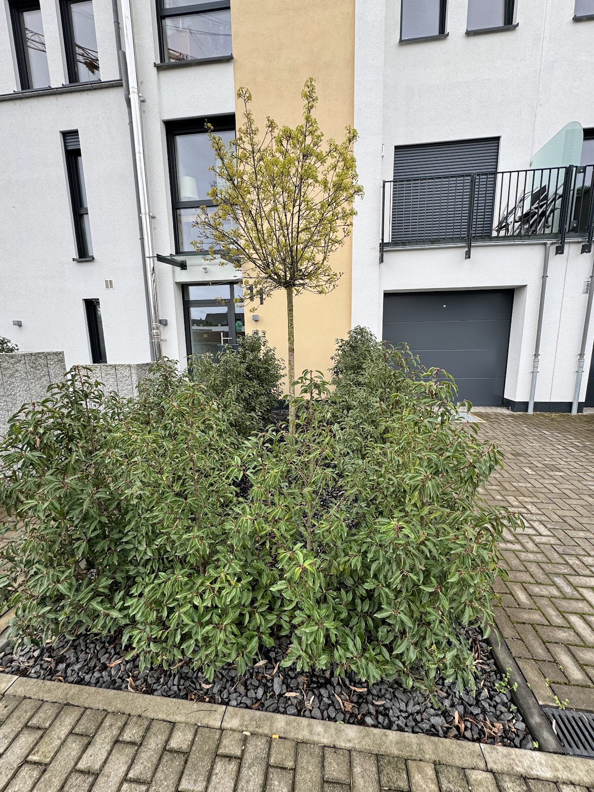 ZVT Zentrale Versorgungstechnik GmbH, Sanitärinstallation in Eltville am Rhein – Foto 1 von 1